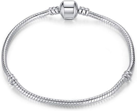 Silver Snake Chain Bracelet Bangle