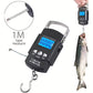 High-Precision 50 Kg Fishing and Travel Scale