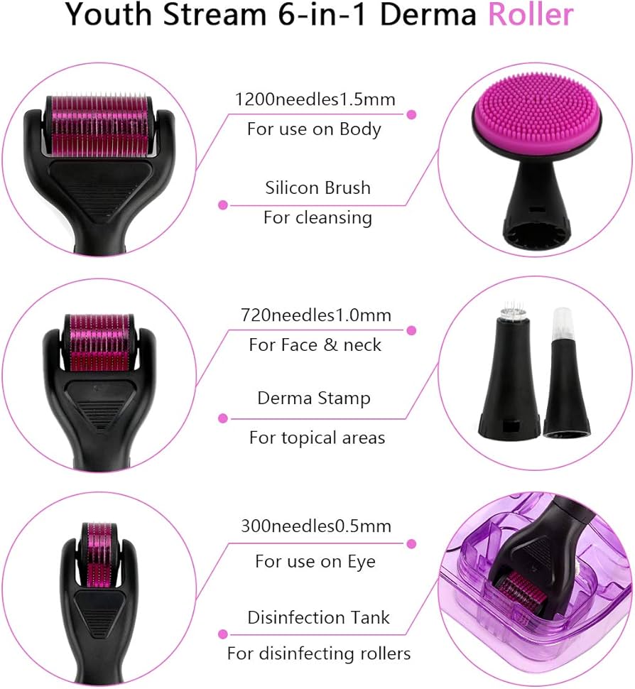 6 in 1 Derma Roller System Set