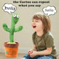 Dancing Cactus Mimicking Light Up Interactive Toy