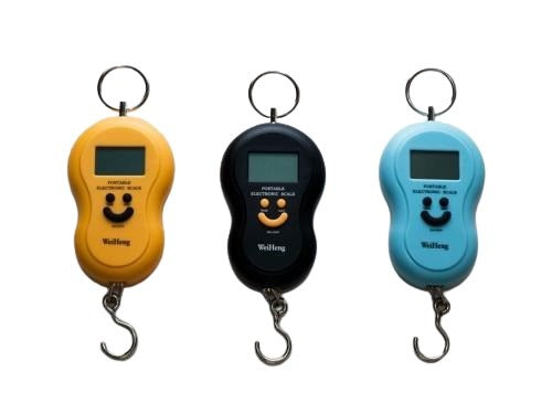 Portable 50kg Electronic Multi-Purpose Luggage Weighing Scale with Batteries freeshipping - Dealz4all Store
